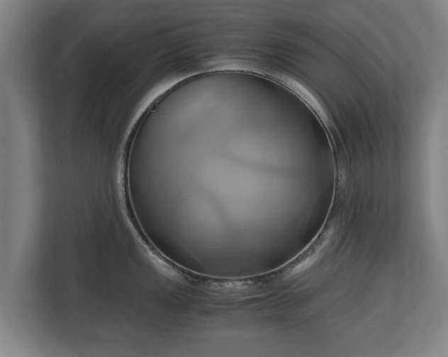 X0000110971149200906261403