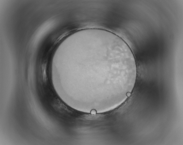 X0000110971150200906261403