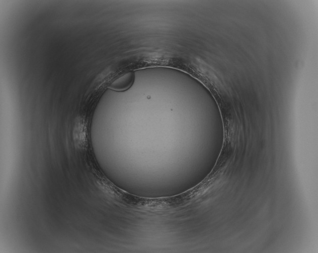 X0000110971154200906261402