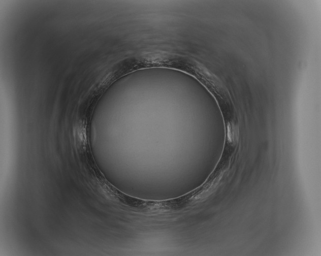 X0000110971155200906261402