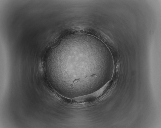 X0000110971156200906261402