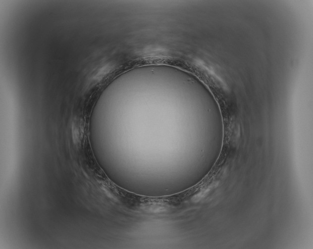 X0000110971157200906261402