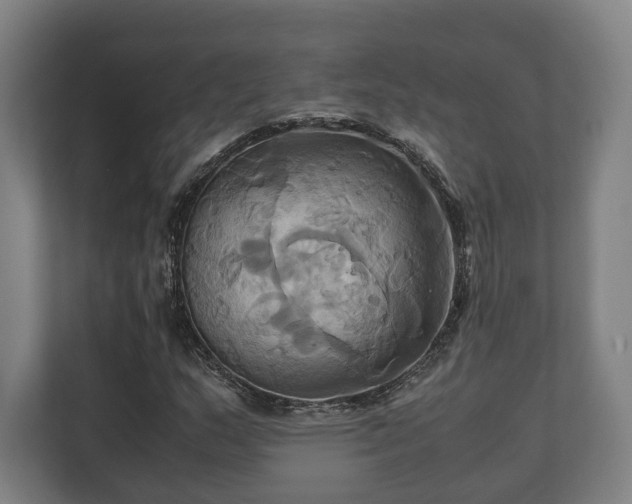 X0000110971159200906261402