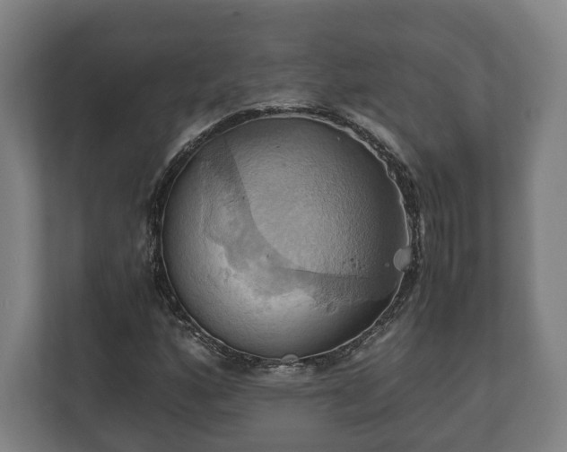 X0000110971160200906261402