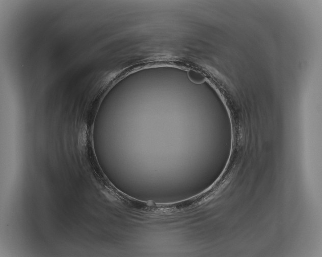 X0000110971161200906261402