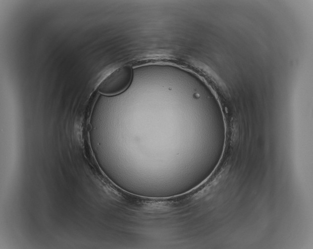 X0000110971162200906261402