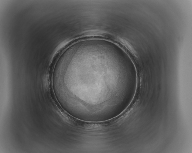 X0000110971164200906261402