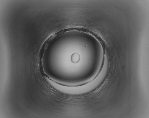 X0000110971165200906261402