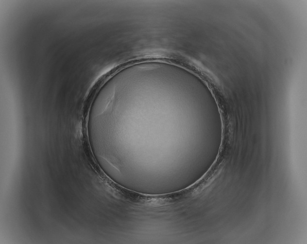 X0000110971166200906261402