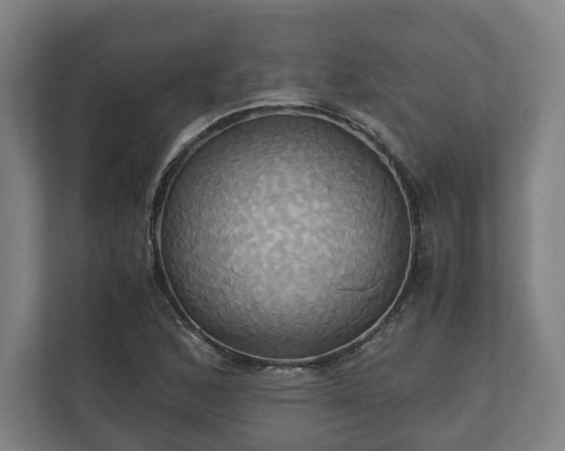 X0000110971168200906261402