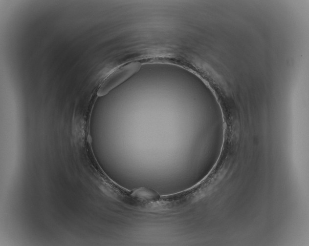 X0000110971169200906261402