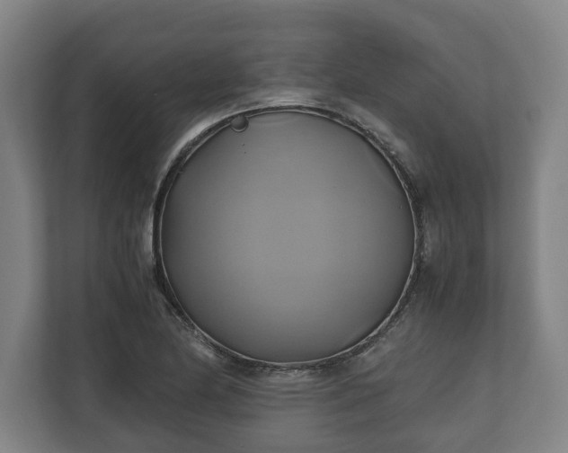 X0000110971174200906261402