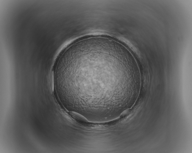 X0000110971175200906261402