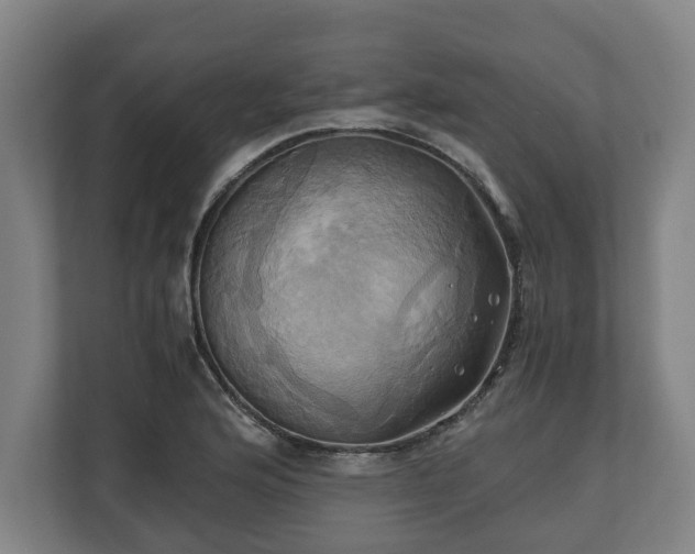 X0000110971176200906261402