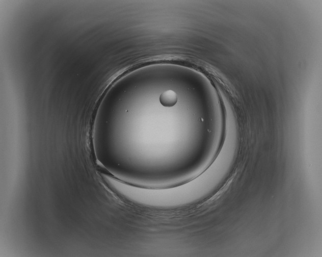 X0000110971177200906261402