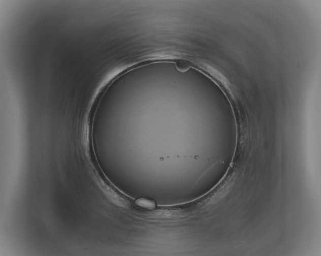 X0000110971179200906261402