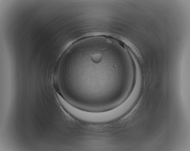 X0000110971185200906261402