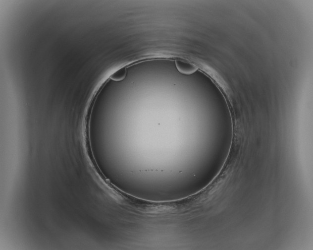 X0000110971187200906261402