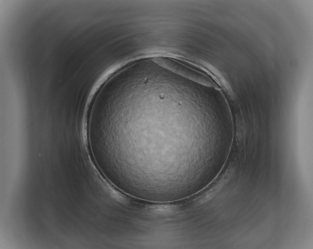 X0000110971188200906261402