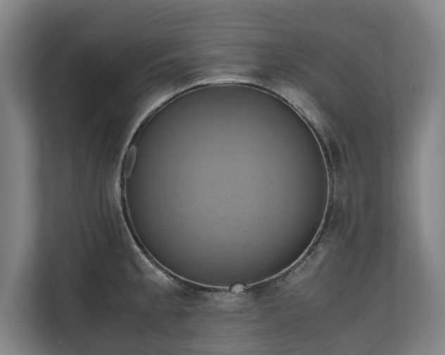 X0000110971189200906261402