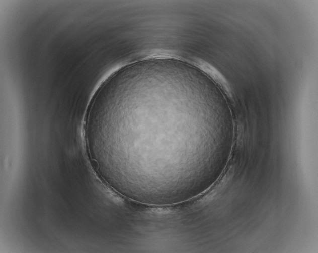 X0000110971190200906261402