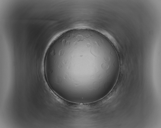 X0000110971191200906261402