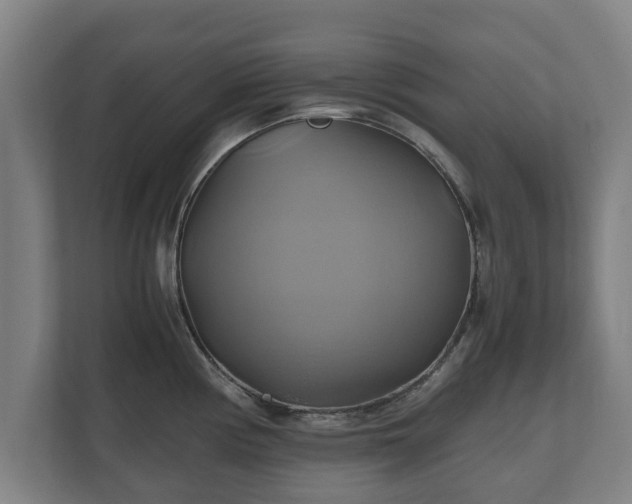 X0000110971194200906261401