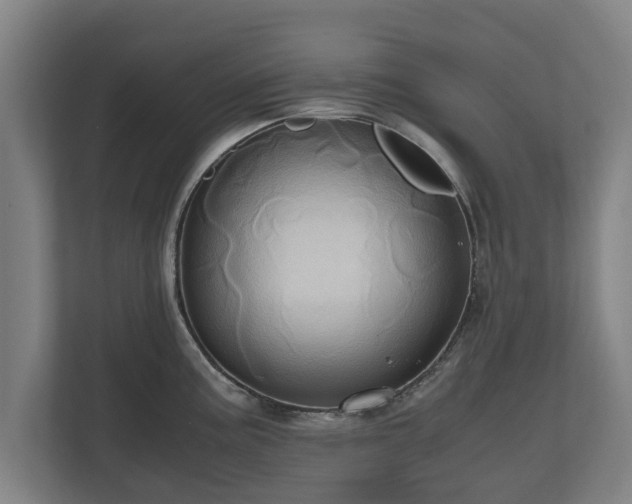 X0000110971195200906261401