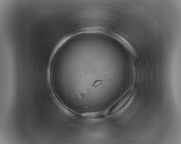 X0000110971196200906261401