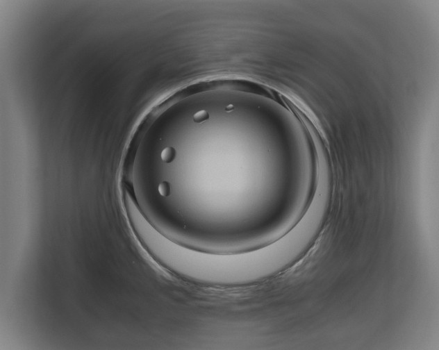 X0000110971197200906261401