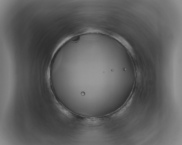 X0000110971198200906261401