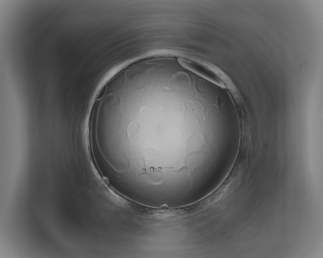 X0000110971199200906261401