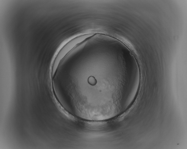 X0000110971200200906261401