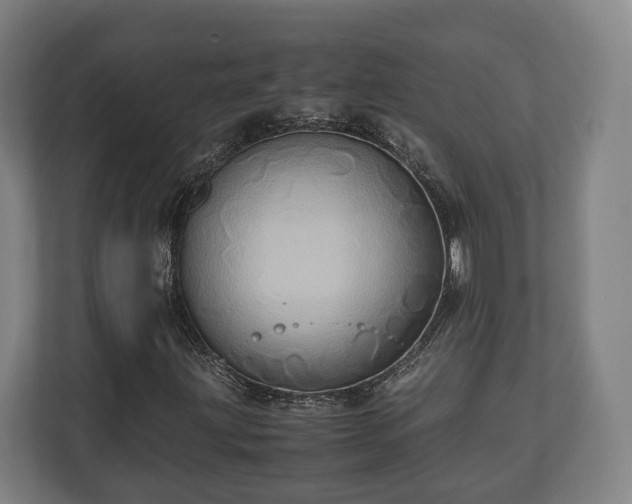 X0000110971203200906261401