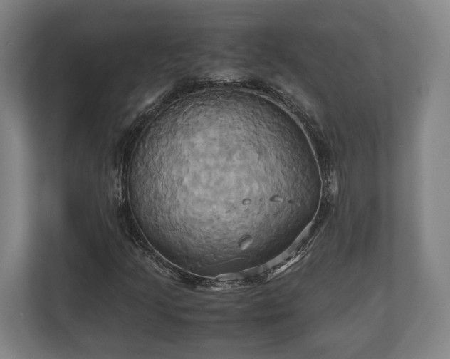 X0000110971205200906261401