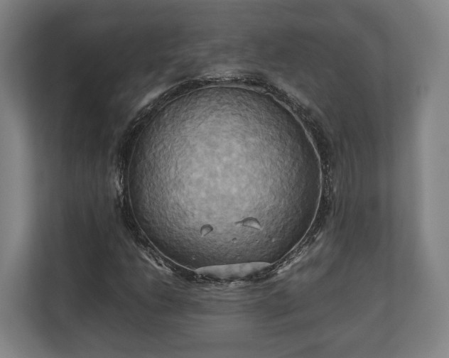 X0000110971206200906261401