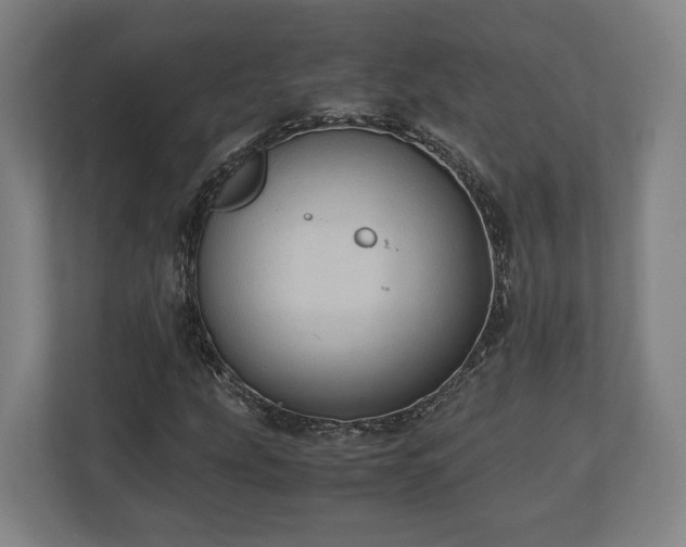 X0000110971207200906261401