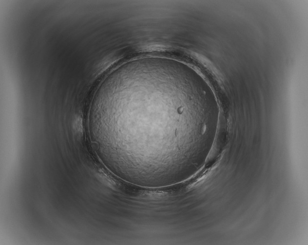 X0000110971209200906261401