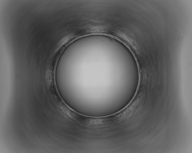 X0000110971211200906261401