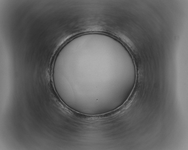 X0000110971212200906261401