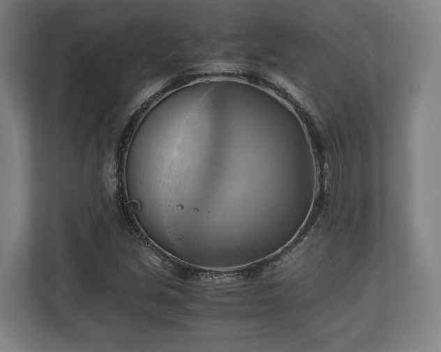 X0000110971213200906261401