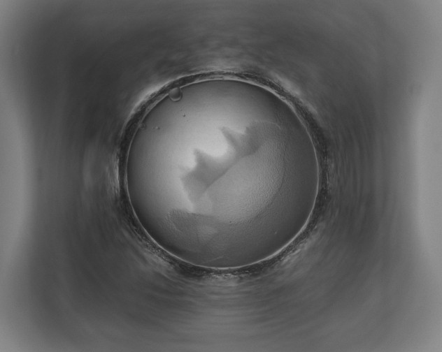 X0000110971214200906261401