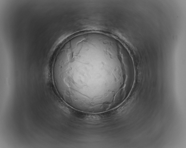 X0000110971215200906261401