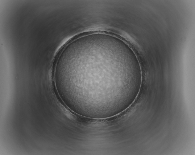 X0000110971216200906261401