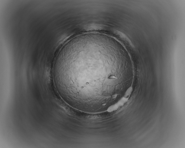 X0000110971217200906261401