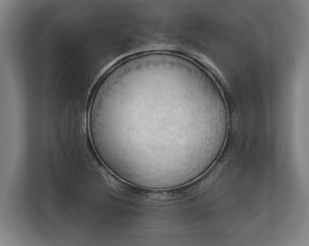 X0000110971220200906261401