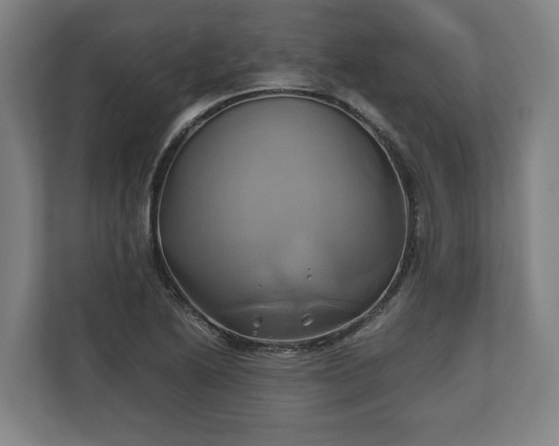 X0000110971222200906261401