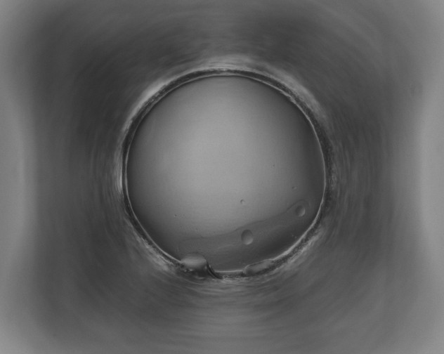 X0000110971224200906261401