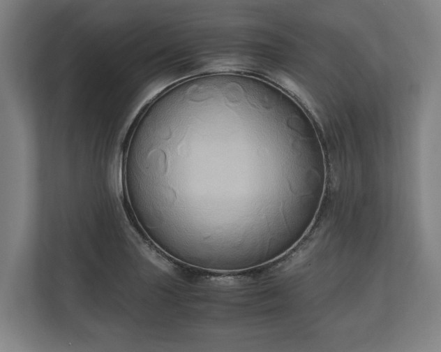 X0000110971227200906261401