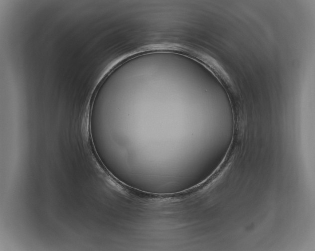 X0000110971228200906261401